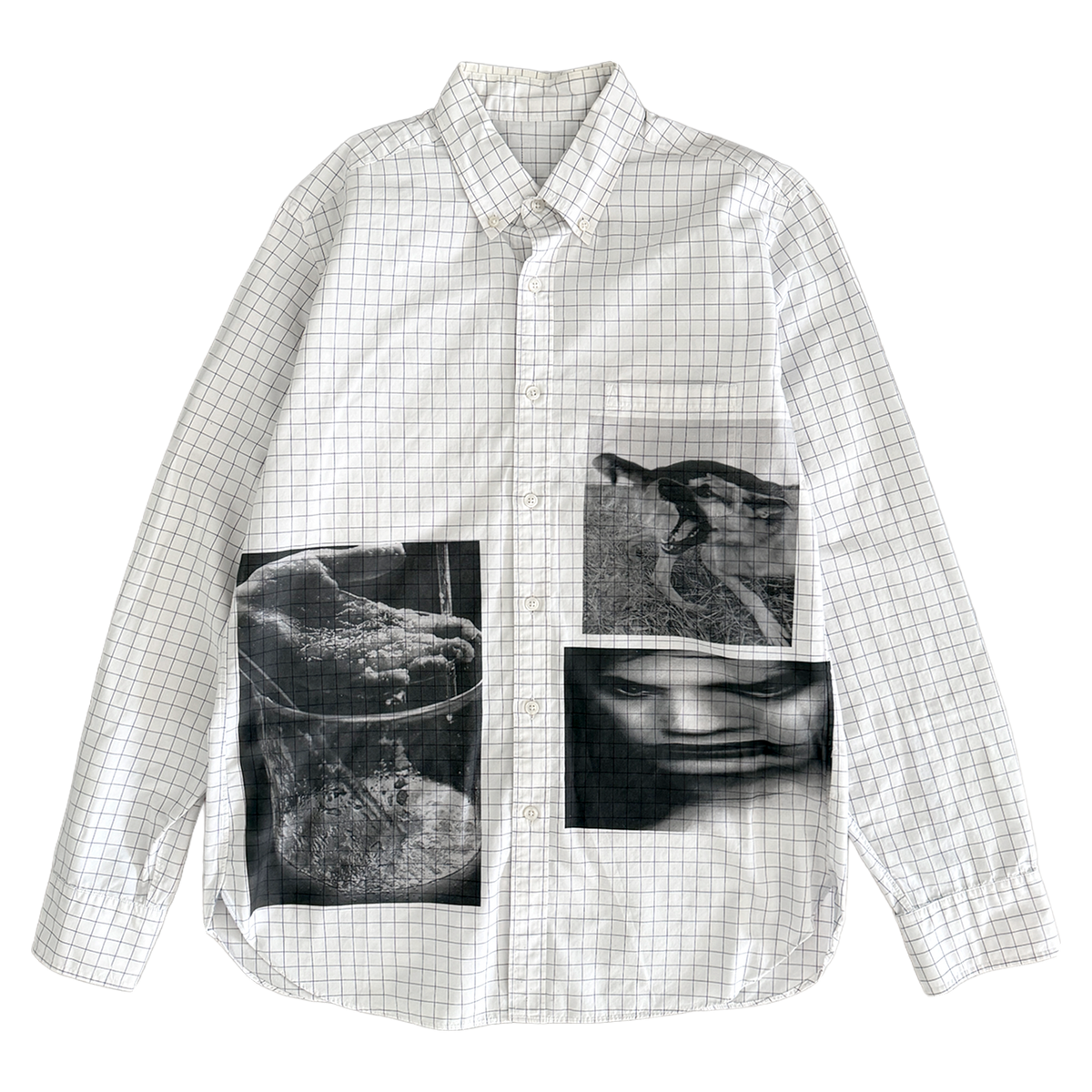 purity button down