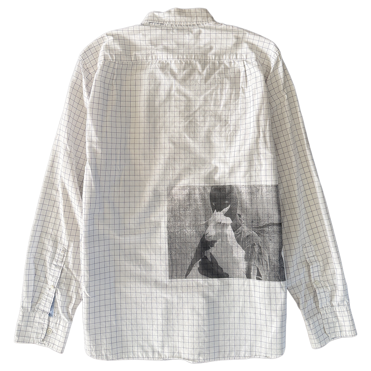purity button down