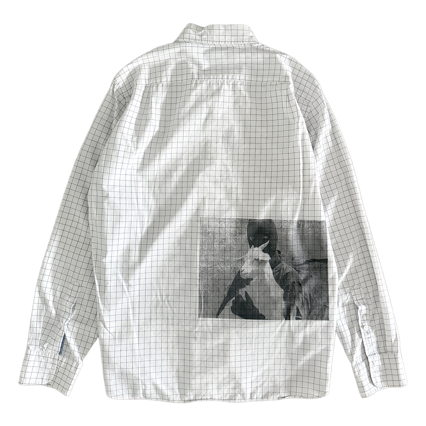 purity button down